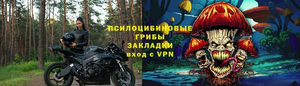 гашик Алексеевка